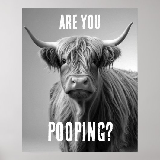 Bent u Pooping Highland Koe Toilet Humor Badkamer Poster (Voorkant)