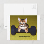 Bental Kitten met Dumbbell Yellow Briefkaart (Voorkant / Achterkant)
