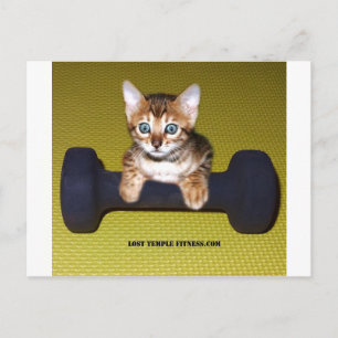 Bental Kitten met Dumbbell Yellow Briefkaart