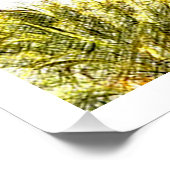 Bentancuria, Fuerteventura, Canarische Eilanden Perfect Poster (Hoek)