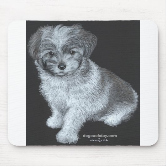 bentley_300, dogeachday.com muismat (Voorkant)