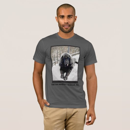 Bentley Grey T shirt (Voorkant volledig)