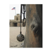 Bents Old Fort Briefkaart