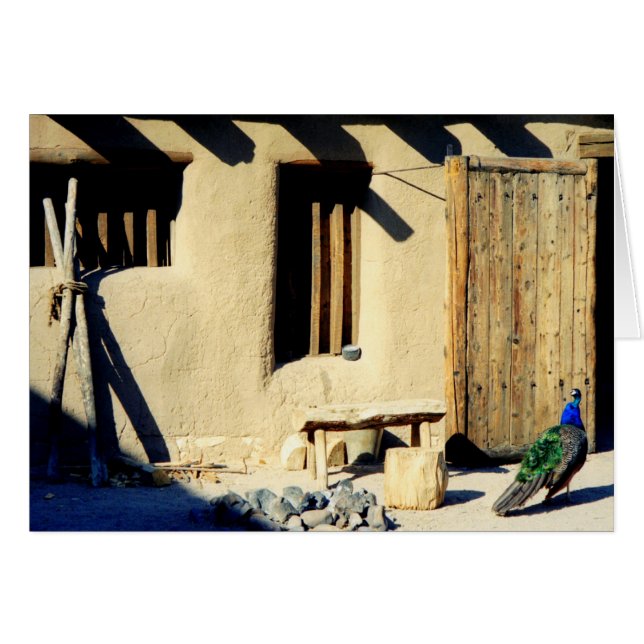 Bents Old Fort Peacock (Voorkant Horizontaal)