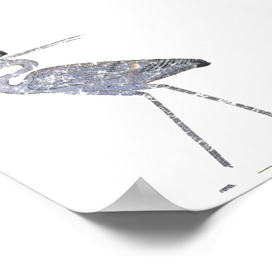 Benu Bird Poster (Hoek)