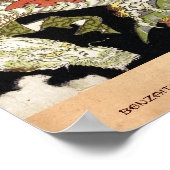 Benzaiten (godin van schoonheid) zitten op een dra poster (Hoek)