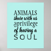 Beoordeling van dieren poster (Voorkant)