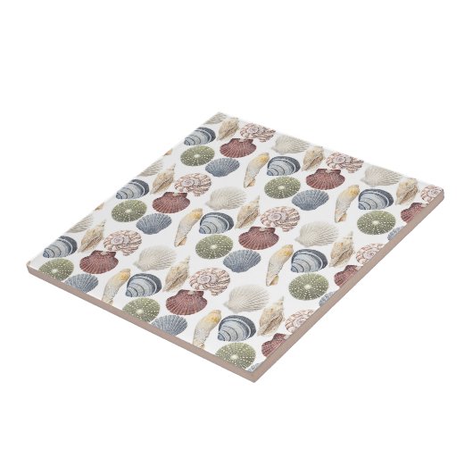 Beoordeling van het kustdek van schelpdieren tegeltje (Zijkant)