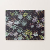 Beoordeling van kleine Succulente Planten Legpuzzel (Horizontaal)