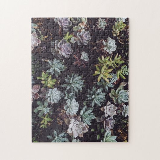 Beoordeling van kleine Succulente Planten Legpuzzel (Verticaal)