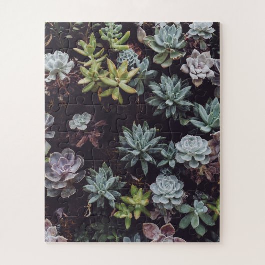 Beoordeling van kleine Succulente Planten Legpuzzel (Verticaal)