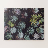 Beoordeling van kleine Succulente Planten Legpuzzel (Horizontaal)