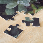 Beoordeling van kleine Succulente Planten Legpuzzel (Zijkant)