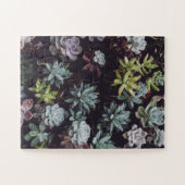 Beoordeling van kleine Succulente Planten Legpuzzel (Horizontaal)