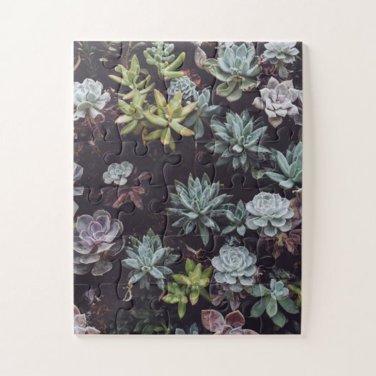 Beoordeling van kleine Succulente Planten Legpuzzel (Verticaal)
