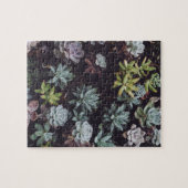 Beoordeling van kleine Succulente Planten Legpuzzel (Horizontaal)
