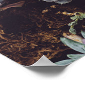 Beoordeling van kleine Succulente Planten Poster (Hoek)