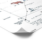 Beoordeling van risico bij paardachtigen Mini-Post Poster (Hoek)