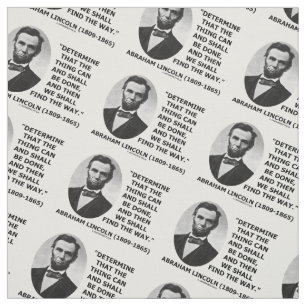 Bepaal wat kan worden gedaan Lincoln Quote Stof
