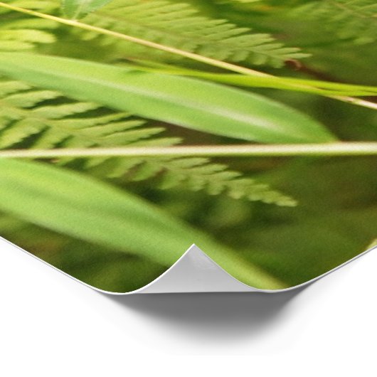 Bepaald Baby-chipmunkPoster Poster (Hoek)