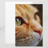 Bepaald gezichtsveld van een gemberkat briefpapier (Voorkant / Achterkant)