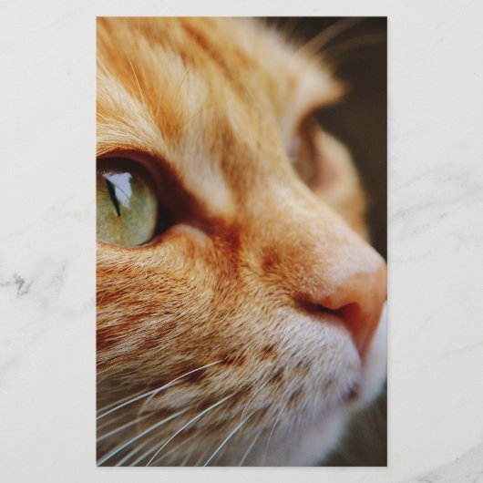 Bepaald gezichtsveld van een gemberkat briefpapier (Voorkant)