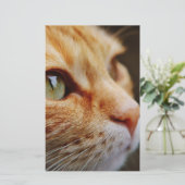 Bepaald gezichtsveld van een gemberkat briefpapier (Staand voorkant)
