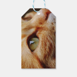 Bepaald gezichtsveld van een gemberkat cadeaulabel