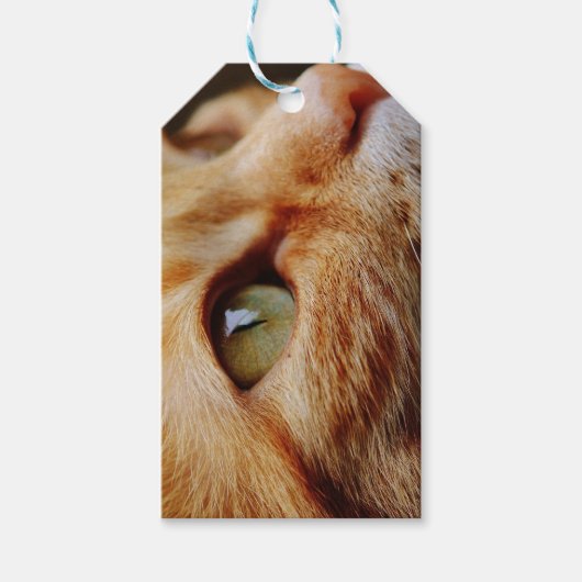 Bepaald gezichtsveld van een gemberkat cadeaulabel (Voorkant)
