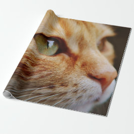 Bepaald gezichtsveld van een gemberkat cadeaupapier