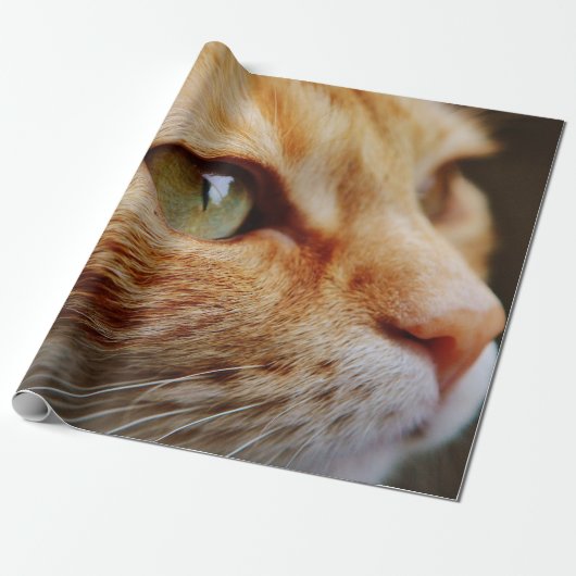 Bepaald gezichtsveld van een gemberkat cadeaupapier (Uitgerold)