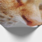 Bepaald gezichtsveld van een gemberkat cadeaupapier (Hoek)