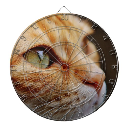 Bepaald gezichtsveld van een gemberkat dartbord (Voorkant)