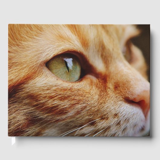 Bepaald gezichtsveld van een gemberkat gastenboek (Voorkant)