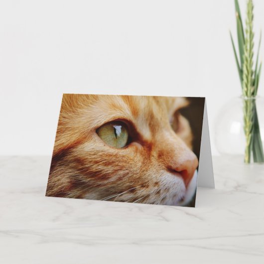 Bepaald gezichtsveld van een gemberkat kaart (Voorkant)