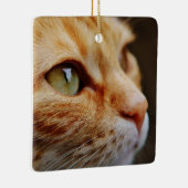 Bepaald gezichtsveld van een gemberkat keramisch ornament (Rechts)