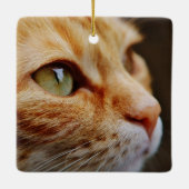 Bepaald gezichtsveld van een gemberkat keramisch ornament (Achterkant)