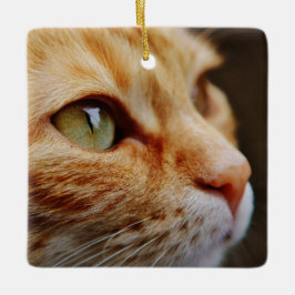 Bepaald gezichtsveld van een gemberkat keramisch ornament