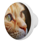 Bepaald gezichtsveld van een gemberkat keramische knop (Rechts)