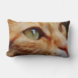 Bepaald gezichtsveld van een gemberkat kussen