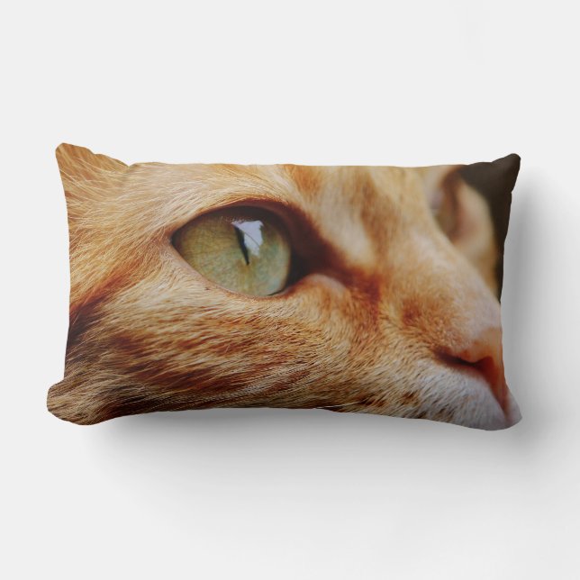 Bepaald gezichtsveld van een gemberkat kussen (Voorkant)