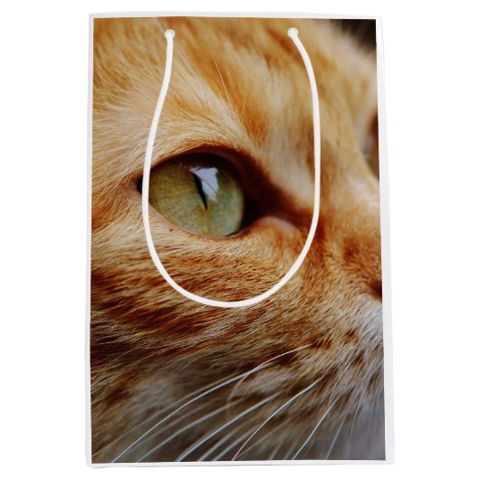 Bepaald gezichtsveld van een gemberkat medium cadeauzakje (Voorkant)