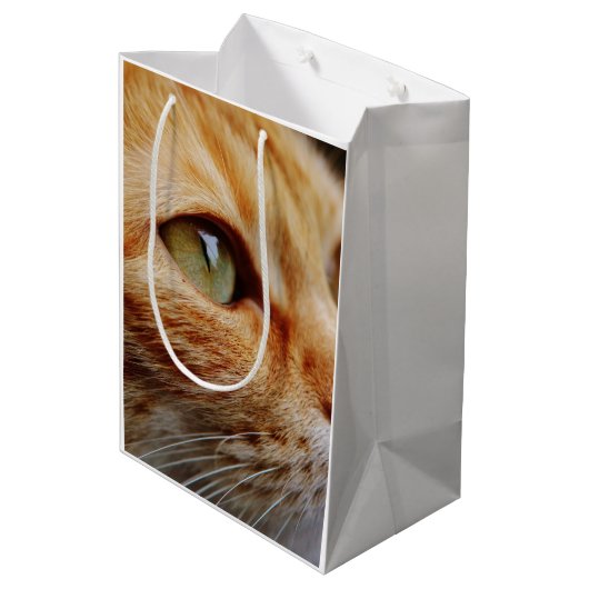 Bepaald gezichtsveld van een gemberkat medium cadeauzakje (Achterkant Gekanteld)