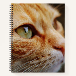Bepaald gezichtsveld van een gemberkat notitieboek
