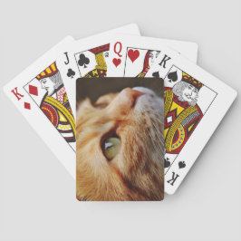 Bepaald gezichtsveld van een gemberkat pokerkaarten