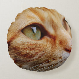 Bepaald gezichtsveld van een gemberkat rond kussen