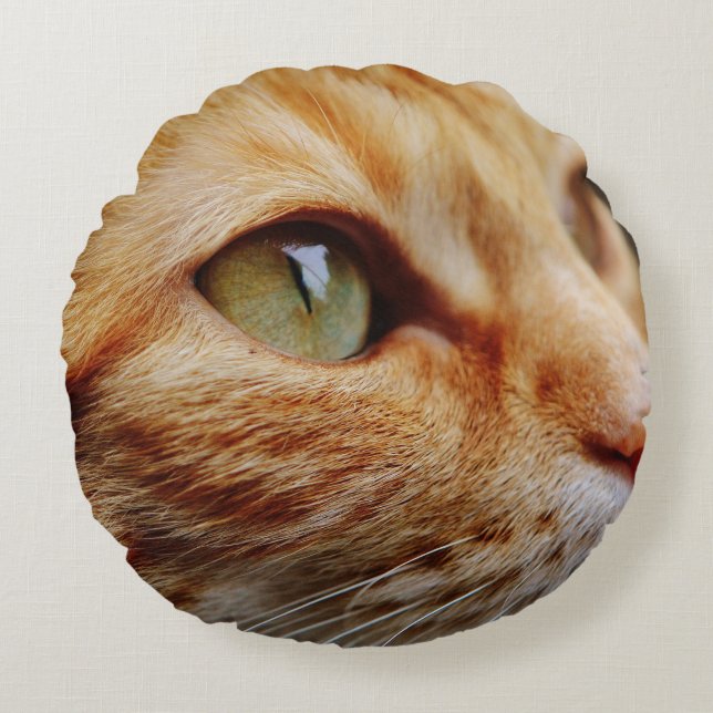 Bepaald gezichtsveld van een gemberkat rond kussen (Voorkant)