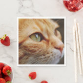 Bepaald gezichtsveld van een gemberkat servet (Insitu)