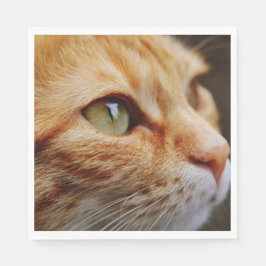 Bepaald gezichtsveld van een gemberkat servet