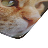 Bepaald gezichtsveld van een gemberkat snijplank (Hoek)